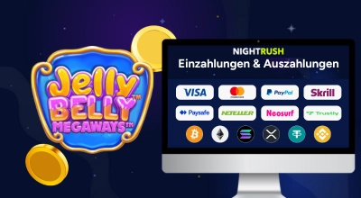 Computerbildschirm zeigt beliebte Online-Zahlungsmethoden wie Visa, Mastercard, Skrill, Neteller, PayPal