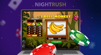Reel Monkey Slot im Online Casino spielen