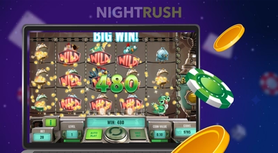 EggOMatic Slot Gewinnchancen