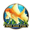 Wild Gold Fish Automatenspiel von Retro Gaming