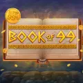 Book of 99 icon