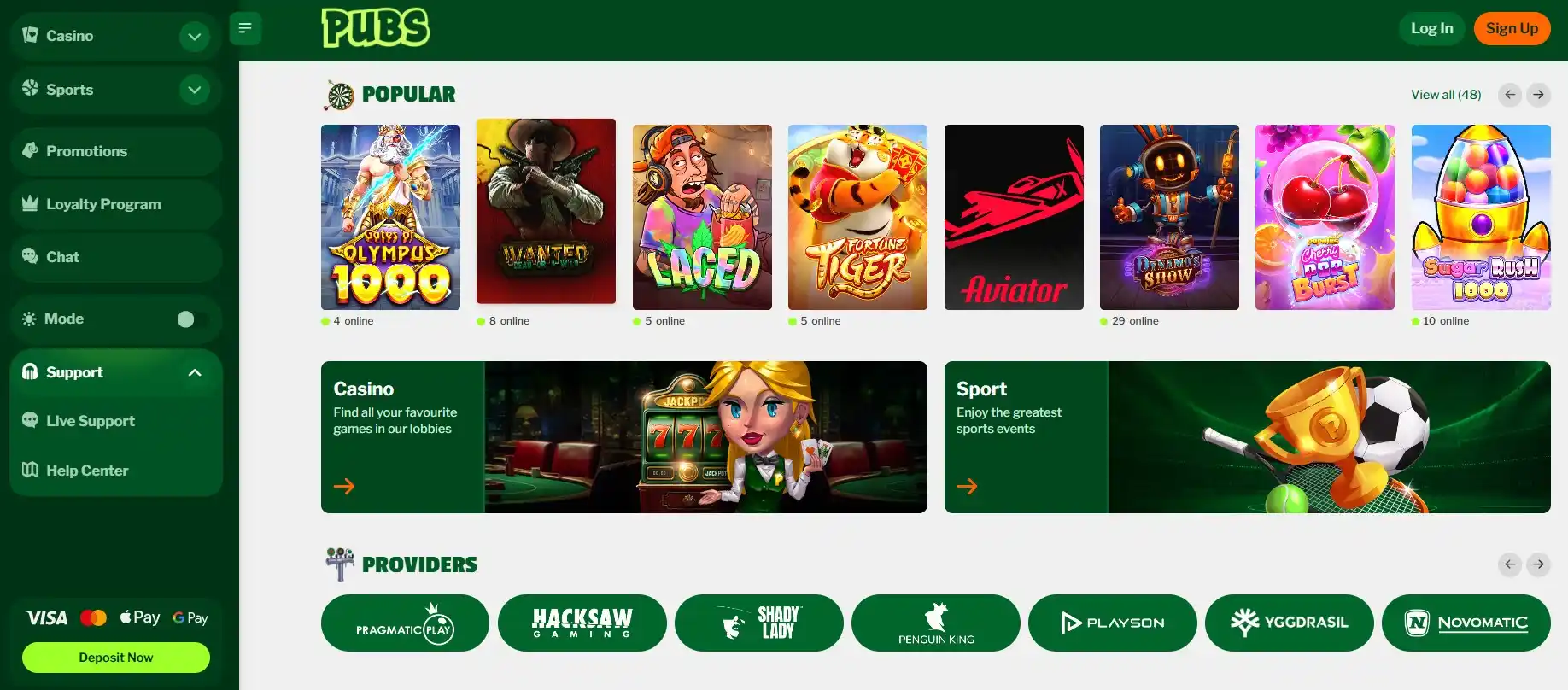 Startseite von Pubs Casino