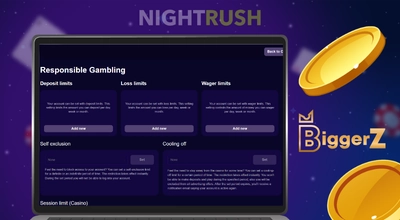 Responsible gambling of BiggerZ casino on a laptop with casino items floating around.