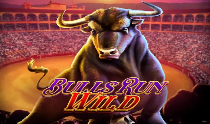 Bulls Run Wild image