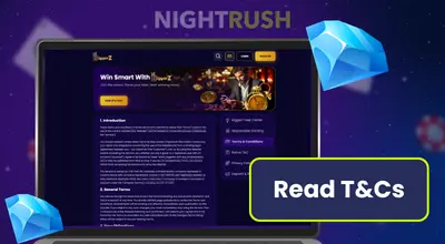 BiggerZ Casino terms and conditions