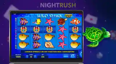 A laptop is showing the Wild Shark Bonus Buy slot with a turtle on a starry background.
