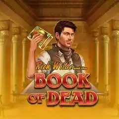 Book of Dead slot by Play'n GO logo.