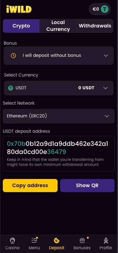 iWild casino crypto payment screen