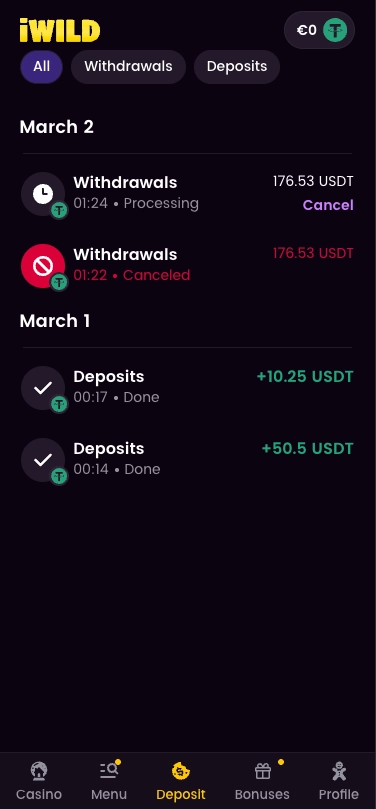 iWild casino payment history screen