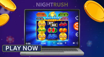 Laptop screen displaying the Thunder Coins: Hold and Win slot game.