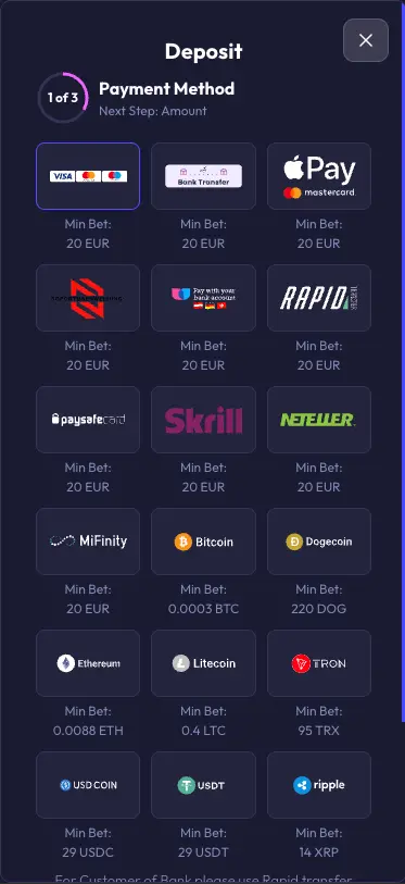Spinrise paynet methods screen