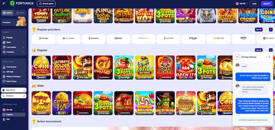 Image showcasing dialogue between the user and Fortunica Casino customer support.
