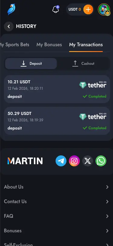 Martin casino deposit transactions screen