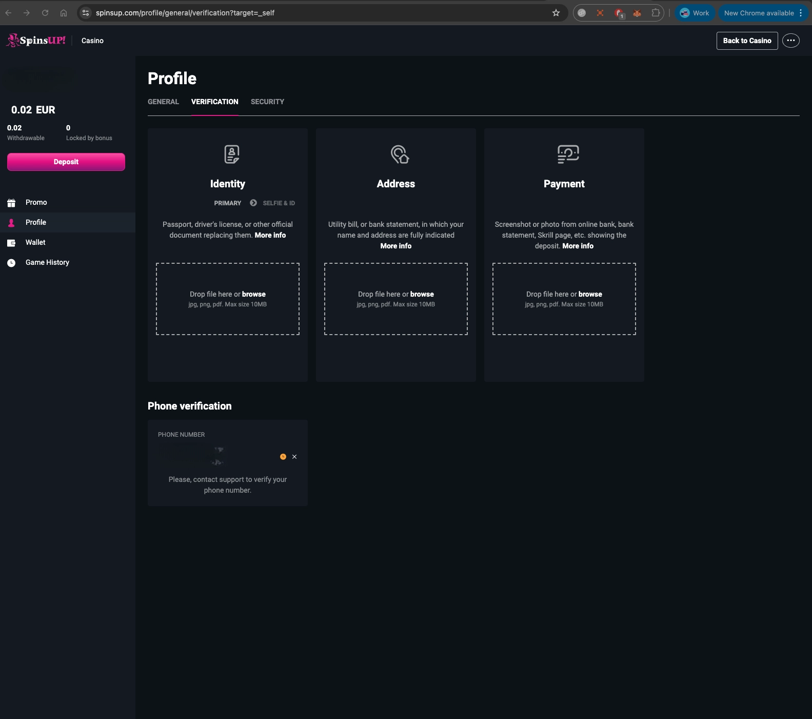 SpinUP Casino profile verification