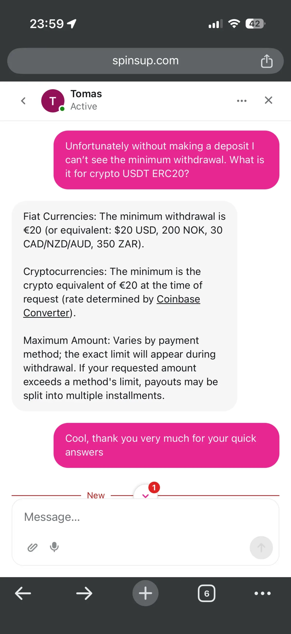 SpinsUP Casino live chat