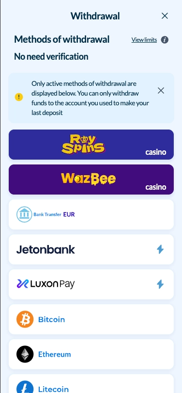 Welle casino withdrawal methods screen