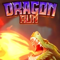 Dragon Run by Solidicon