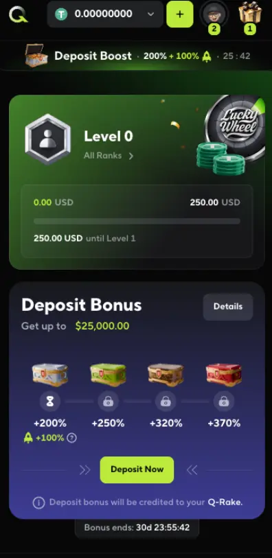 Qzino casino Level Rank System Page