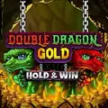 Double Dragon Gold Hold & Win logo with green and red dragons over a pile of gold coins.