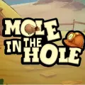 Mole in the Hole slot