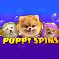 Spinoro’s Puppy Spins against a purple background.