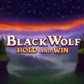 Black Wolf slot