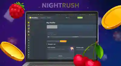 Laptop displaying the DuckDice My Profile page under the Boosters tab, framed by floating golden coins, a raspberry, and cherries.