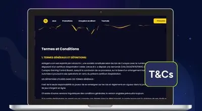 Page des termes et conditions de Glitchspin
