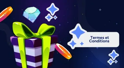 paquet cadeau avec les termes et conditions