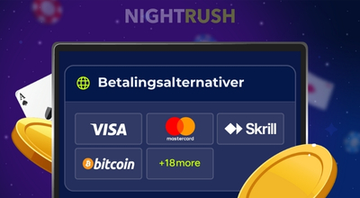 En laptop med betalingsalternativer til casino, inkludert Visa og Bitcoin.